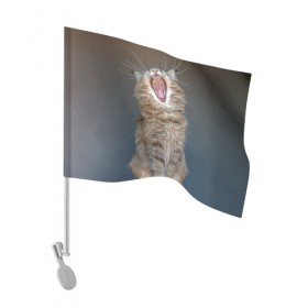 Флаг для автомобиля с принтом Мартовский кот , 100% полиэстер | Размер: 30*21 см | кот | кошка | март | пасть | усы