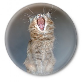 Значок с принтом Мартовский кот ,  металл | круглая форма, металлическая застежка в виде булавки | кот | кошка | март | пасть | усы