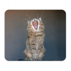 Коврик прямоугольный с принтом Мартовский кот , натуральный каучук | размер 230 х 185 мм; запечатка лицевой стороны | кот | кошка | март | пасть | усы