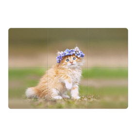 Магнитный плакат 3Х2 с принтом Веночек , Полимерный материал с магнитным слоем | 6 деталей размером 9*9 см | василёк | венок | котёнок | кошка | цветок