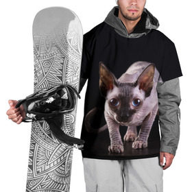 Накидка на куртку 3D с принтом сфинкс , 100% полиэстер |  | Тематика изображения на принте: cat | голубые глаза | кот | котик | котэ | кошка | сфинкс | черный