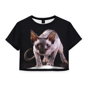 Женская футболка 3D укороченная с принтом сфинкс , 100% полиэстер | круглая горловина, длина футболки до линии талии, рукава с отворотами | cat | голубые глаза | кот | котик | котэ | кошка | сфинкс | черный