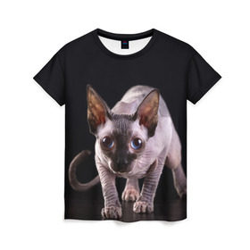 Женская футболка 3D с принтом сфинкс , 100% полиэфир ( синтетическое хлопкоподобное полотно) | прямой крой, круглый вырез горловины, длина до линии бедер | cat | голубые глаза | кот | котик | котэ | кошка | сфинкс | черный