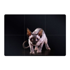 Магнитный плакат 3Х2 с принтом сфинкс , Полимерный материал с магнитным слоем | 6 деталей размером 9*9 см | Тематика изображения на принте: cat | голубые глаза | кот | котик | котэ | кошка | сфинкс | черный