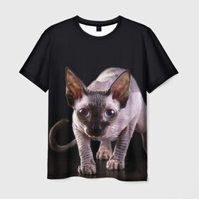 Мужская футболка 3D с принтом сфинкс , 100% полиэфир | прямой крой, круглый вырез горловины, длина до линии бедер | Тематика изображения на принте: cat | голубые глаза | кот | котик | котэ | кошка | сфинкс | черный
