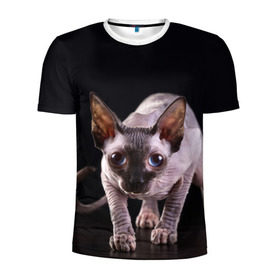 Мужская футболка 3D спортивная с принтом сфинкс , 100% полиэстер с улучшенными характеристиками | приталенный силуэт, круглая горловина, широкие плечи, сужается к линии бедра | cat | голубые глаза | кот | котик | котэ | кошка | сфинкс | черный