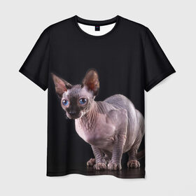 Мужская футболка 3D с принтом сфинкс , 100% полиэфир | прямой крой, круглый вырез горловины, длина до линии бедер | Тематика изображения на принте: взгляд | голубые глаза | киска | кот | котенок | котик | котэ | серый | сфинкс | черный