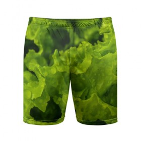 Мужские шорты 3D спортивные с принтом Зелень ,  |  | веган | зеленый | зелень | лето | овощи | салат | солнце | фрукты