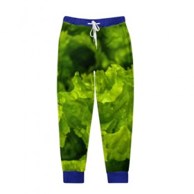 Мужские брюки 3D с принтом Зелень , 100% полиэстер | манжеты по низу, эластичный пояс регулируется шнурком, по бокам два кармана без застежек, внутренняя часть кармана из мелкой сетки | веган | зеленый | зелень | лето | овощи | салат | солнце | фрукты