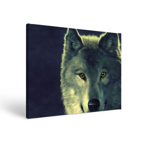 Холст прямоугольный с принтом Серый волк , 100% ПВХ |  | аука | бирюк | волк | волчара | волчица | волчок | глаза | животное | животные | зверь | зеленые | койот | млекопитающее | нос | санитар леса | серый | уши | фауна | фон | хищник | черный | шакал | шерсть