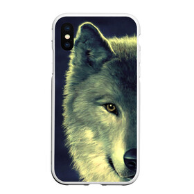 Чехол для iPhone XS Max матовый с принтом Серый волк , Силикон | Область печати: задняя сторона чехла, без боковых панелей | аука | бирюк | волк | волчара | волчица | волчок | глаза | животное | животные | зверь | зеленые | койот | млекопитающее | нос | санитар леса | серый | уши | фауна | фон | хищник | черный | шакал | шерсть