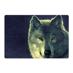 Магнитный плакат 3Х2 с принтом Серый волк , Полимерный материал с магнитным слоем | 6 деталей размером 9*9 см | аука | бирюк | волк | волчара | волчица | волчок | глаза | животное | животные | зверь | зеленые | койот | млекопитающее | нос | санитар леса | серый | уши | фауна | фон | хищник | черный | шакал | шерсть