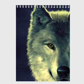 Скетчбук с принтом Серый волк , 100% бумага
 | 48 листов, плотность листов — 100 г/м2, плотность картонной обложки — 250 г/м2. Листы скреплены сверху удобной пружинной спиралью | аука | бирюк | волк | волчара | волчица | волчок | глаза | животное | животные | зверь | зеленые | койот | млекопитающее | нос | санитар леса | серый | уши | фауна | фон | хищник | черный | шакал | шерсть