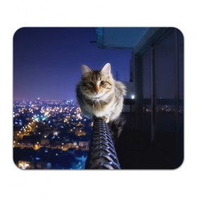 Коврик прямоугольный с принтом Киса на балконе , натуральный каучук | размер 230 х 185 мм; запечатка лицевой стороны | Тематика изображения на принте: cat | kitty | животные | киса | кот | котенок | котэ | кошка