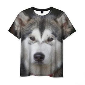 Мужская футболка 3D с принтом Хаски , 100% полиэфир | прямой крой, круглый вырез горловины, длина до линии бедер | волк | маламут | собака | хаски | щенок