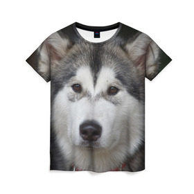 Женская футболка 3D с принтом Хаски , 100% полиэфир ( синтетическое хлопкоподобное полотно) | прямой крой, круглый вырез горловины, длина до линии бедер | волк | маламут | собака | хаски | щенок