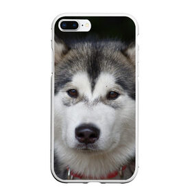 Чехол для iPhone 7Plus/8 Plus матовый с принтом Хаски , Силикон | Область печати: задняя сторона чехла, без боковых панелей | волк | маламут | собака | хаски | щенок