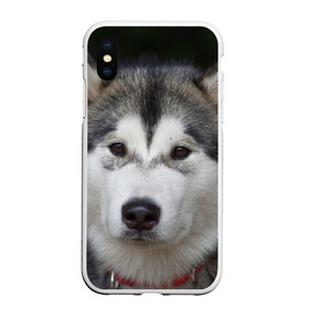Чехол для iPhone XS Max матовый с принтом Хаски , Силикон | Область печати: задняя сторона чехла, без боковых панелей | волк | маламут | собака | хаски | щенок