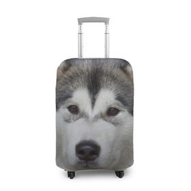 Чехол для чемодана 3D с принтом Хаски , 86% полиэфир, 14% спандекс | двустороннее нанесение принта, прорези для ручек и колес | волк | маламут | собака | хаски | щенок