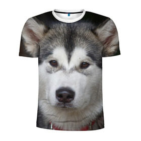 Мужская футболка 3D спортивная с принтом Хаски , 100% полиэстер с улучшенными характеристиками | приталенный силуэт, круглая горловина, широкие плечи, сужается к линии бедра | волк | маламут | собака | хаски | щенок