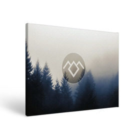 Холст прямоугольный с принтом Twin Peaks , 100% ПВХ |  | Тематика изображения на принте: twin peaks | лес | лора палмер | ночь | огонь | сова | сосны | твин пикс