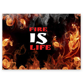 Поздравительная открытка с принтом Fire is life (Огонь это жизнь) , 100% бумага | плотность бумаги 280 г/м2, матовая, на обратной стороне линовка и место для марки
 | Тематика изображения на принте: fire | is | life | алфавит | английский | большие | буквы | горит | жар | клевая | надпись | огонь | огонь это жизнь | пламя | пожар | полымя | прикольная | пыл | свет | слово | цитата