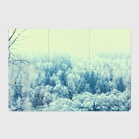 Магнитный плакат 3Х2 с принтом Снежный лес , Полимерный материал с магнитным слоем | 6 деталей размером 9*9 см | Тематика изображения на принте: деревья | зима | лес | природа