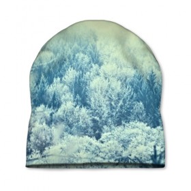 Шапка 3D с принтом Снежный лес , 100% полиэстер | универсальный размер, печать по всей поверхности изделия | Тематика изображения на принте: деревья | зима | лес | природа