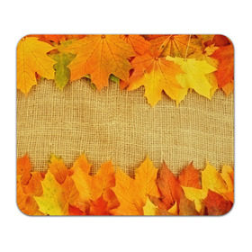 Коврик прямоугольный с принтом Foliage , натуральный каучук | размер 230 х 185 мм; запечатка лицевой стороны | листья | осень