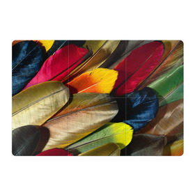 Магнитный плакат 3Х2 с принтом Перья , Полимерный материал с магнитным слоем | 6 деталей размером 9*9 см | перо | попугай | птица | радуга | радужный