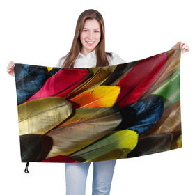 Флаг 3D с принтом Перья , 100% полиэстер | плотность ткани — 95 г/м2, размер — 67 х 109 см. Принт наносится с одной стороны | перо | попугай | птица | радуга | радужный