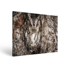 Холст прямоугольный с принтом Камуфляж сова , 100% ПВХ |  | Тематика изображения на принте: дерево | пернатая | птица | филин