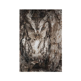 Обложка для паспорта матовая кожа с принтом Камуфляж сова , натуральная матовая кожа | размер 19,3 х 13,7 см; прозрачные пластиковые крепления | дерево | пернатая | птица | филин