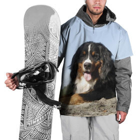 Накидка на куртку 3D с принтом Бернский зенненхунд , 100% полиэстер |  | голубое небо | друг человека | животное | красивая | милая | овчарка | пес | породистая собака | породы | прикольная | природа | рыжий | черный | щенок
