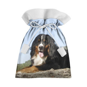 Подарочный 3D мешок с принтом Бернский зенненхунд , 100% полиэстер | Размер: 29*39 см | голубое небо | друг человека | животное | красивая | милая | овчарка | пес | породистая собака | породы | прикольная | природа | рыжий | черный | щенок