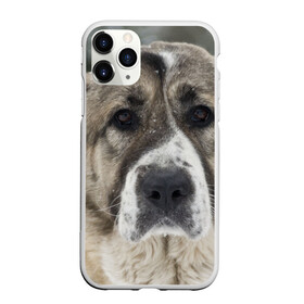 Чехол для iPhone 11 Pro матовый с принтом САО (алабай) , Силикон |  | Тематика изображения на принте: большая огромная | грозная | добрая | друг человека | животное | красивая | милая | пес | породистая собака | породы | прикольная | сао алабай | щенок
