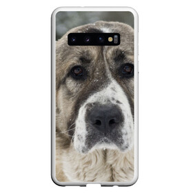 Чехол для Samsung Galaxy S10 с принтом САО (алабай) , Силикон | Область печати: задняя сторона чехла, без боковых панелей | Тематика изображения на принте: большая огромная | грозная | добрая | друг человека | животное | красивая | милая | пес | породистая собака | породы | прикольная | сао алабай | щенок