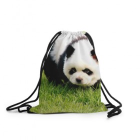Рюкзак-мешок 3D с принтом Пес панда , 100% полиэстер | плотность ткани — 200 г/м2, размер — 35 х 45 см; лямки — толстые шнурки, застежка на шнуровке, без карманов и подкладки | 
