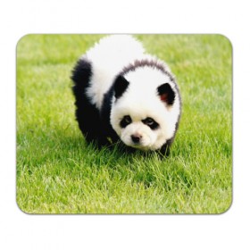 Коврик прямоугольный с принтом Пес панда , натуральный каучук | размер 230 х 185 мм; запечатка лицевой стороны | 