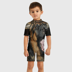 Детский купальный костюм 3D с принтом Гав , Полиэстер 85%, Спандекс 15% | застежка на молнии на спине | друг человека | животное | красивая | милая | пес | породистая собака | породы | прикольная | щенок