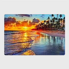 Магнитный плакат 3Х2 с принтом Гавайи , Полимерный материал с магнитным слоем | 6 деталей размером 9*9 см | Тематика изображения на принте: hawaii | гавайи | газон | горизонт | море | небо | облака | пальмы | побережье | скалы | солнце | сша | тропики