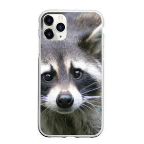 Чехол для iPhone 11 Pro матовый с принтом Озадаченный енот , Силикон |  | добрый | енот | животное | зверек | зверь | красивый | милое | милый | полоски серые | полоскун | прикольный | природа | усатый | фауна | флора | хищник | черный | шерсть
