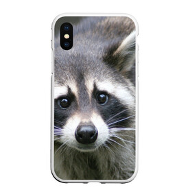 Чехол для iPhone XS Max матовый с принтом Озадаченный енот , Силикон | Область печати: задняя сторона чехла, без боковых панелей | добрый | енот | животное | зверек | зверь | красивый | милое | милый | полоски серые | полоскун | прикольный | природа | усатый | фауна | флора | хищник | черный | шерсть
