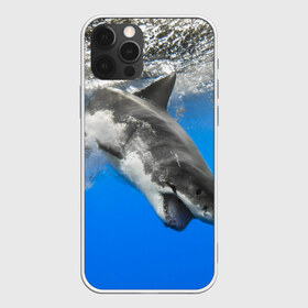 Чехол для iPhone 12 Pro Max с принтом Акула , Силикон |  | shark | море | синий | челюсти