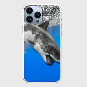 Чехол для iPhone 13 Pro Max с принтом Акула ,  |  | Тематика изображения на принте: shark | море | синий | челюсти