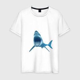 Мужская футболка хлопок с принтом Акула , 100% хлопок | прямой крой, круглый вырез горловины, длина до линии бедер, слегка спущенное плечо. | shark | челюсти