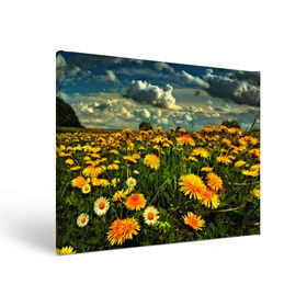 Холст прямоугольный с принтом Одуванчики , 100% ПВХ |  | Тематика изображения на принте: пейзаж | поле | цветы