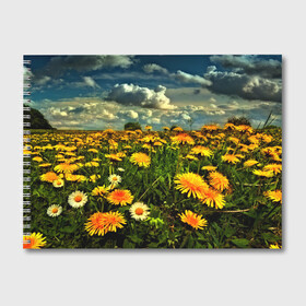 Альбом для рисования с принтом Одуванчики , 100% бумага
 | матовая бумага, плотность 200 мг. | Тематика изображения на принте: пейзаж | поле | цветы