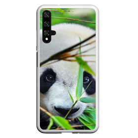 Чехол для Honor 20 с принтом Панда в лесу , Силикон | Область печати: задняя сторона чехла, без боковых панелей | бамбук | животное | медведь