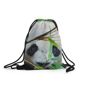 Рюкзак-мешок 3D с принтом Панда в лесу , 100% полиэстер | плотность ткани — 200 г/м2, размер — 35 х 45 см; лямки — толстые шнурки, застежка на шнуровке, без карманов и подкладки | бамбук | животное | медведь